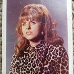 Virginia Sheppard - @virginia_sheppard - Instagram