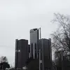 virginiashields0 - @virginiashields0 - TikTok
