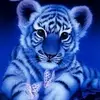 Peter the cat - @virginiaspeight73 - TikTok