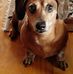 Virginia Steigerwald - Facebook