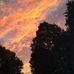 Virginia Sumner - Facebook