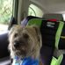 Virginia Teed - Facebook