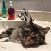 Ginny Thiessen - Facebook