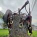 The West Virginia Tom Cat - Facebook
