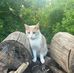 Virginia Tompkins - Facebook