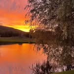 Virginia VanOver - @vanover2007 - Instagram