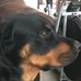 Virginia Weimers - Facebook