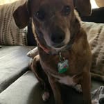 Virginia Weldon McDowell - @weldonmcdowell - Instagram