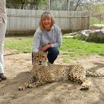 Virginia windley - @virginia_windley - Instagram