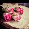 virginia_de_winter - @virginia_de_winter - TikTok