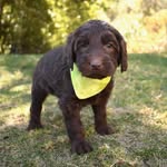 Elijah Wolfson - @lima_virginia_wolfson - Instagram