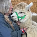 Virginia Wright - @alpaca_lady_280 - Instagram