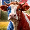 Virginie Salmon - @virginie.salmon - TikTok