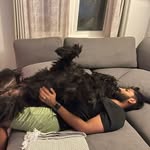 Vishal Menon - @vishal_menon - Instagram