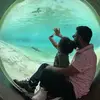 Vishvas Patel - @vishvas.patel2 - TikTok