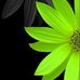 Vishwa kumar - Facebook