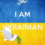 Vitaliy Romanenko - @vitaliiromanenko - Instagram