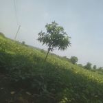 Vithal Kulkarni - @vithal.kulkarni1 - Instagram