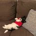 Vito Bartolotta - Facebook