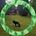 Vito Bavaro - Facebook