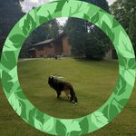Vito Bavaro - @vito.bavaro.96 - Instagram