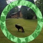 Vito Bavaro - @bavaro_vito - Instagram