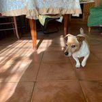 Vito Bavaro - @vitobavaro - Instagram