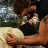 vitocolonna956 - @vitocolonna956 - TikTok