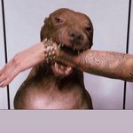Vito dipinto - @dipintovito - Instagram