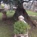 Vito Divittorio - Facebook