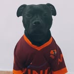 Vito Divittorio - @vitodivittorio - Instagram