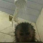Vito Gallucci - @vitogallucci - Instagram