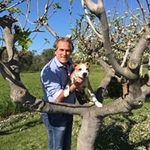 Vito Lepore - @leporevitotinteggiature - Instagram