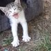 Vitorio Lepore - Facebook