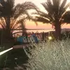 vitolicari415 - @vitolicari415 - TikTok