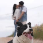 Vito Mele - @vito.mele - Instagram