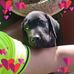 Vito Parente - Facebook