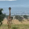 Vito Pepe - @vito.pepe6 - TikTok