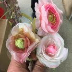 Vito Perricci - @vitoperricci4185 - Instagram
