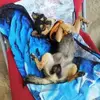 Vito Pizzo - @vito.pizzo8 - TikTok