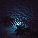@vito_poli - Instagram