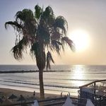 Rebel - @vitoragone72 - Instagram