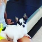 Vito ragone - @ragonevito20092020 - Instagram