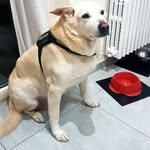 Vito Rossi - @vito.rossi.568847 - Instagram