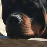 Vito Sardo - @vitosardo - Instagram