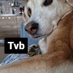 Vito Scardigno - @vitu.zzo82 - Instagram