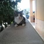 Vito Sciacca - @sciacca.vito - Instagram