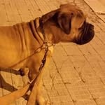 Vito Sciacca - @vitosciacca1949 - Instagram