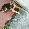 user9863368089856 - @vitosinopoli02 - TikTok
