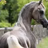 vito - @vitosinopoli48 - TikTok